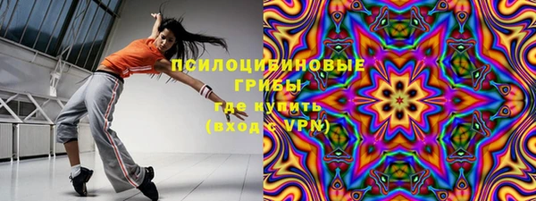 дурь Богданович