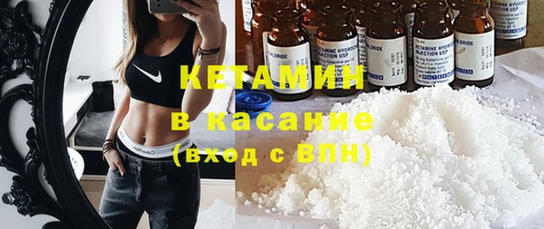 шишки Белокуриха
