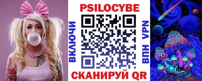 наркотики  Егорьевск  Псилоцибиновые грибы Psilocybe 